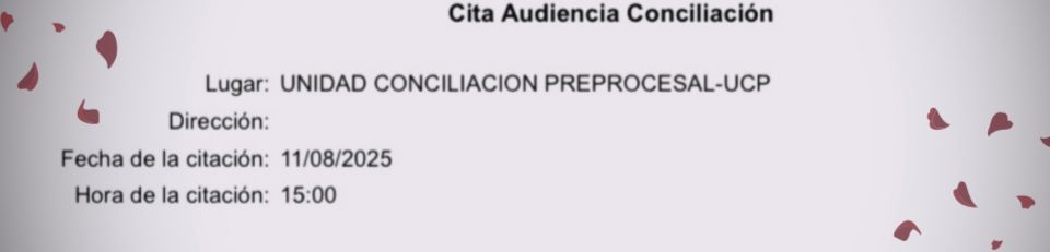Cita Audiencia ConciliaciĂłn